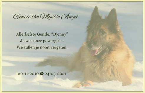 Gentle the Mystic Angel  Allerliefste Gentle, Djenny Je was onze powergirl We zullen je nooit vergeten.    20-11-2010  24-03-2021